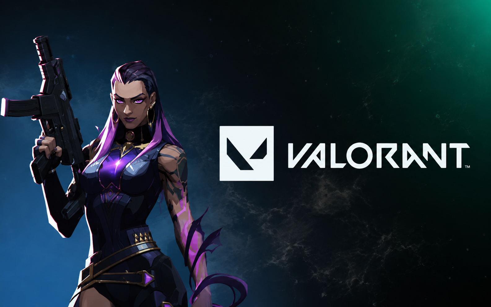 Valorant DMA Software